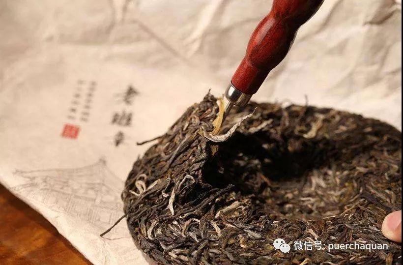 普洱春茶与秋茶,为何价差数倍? (1).jpg