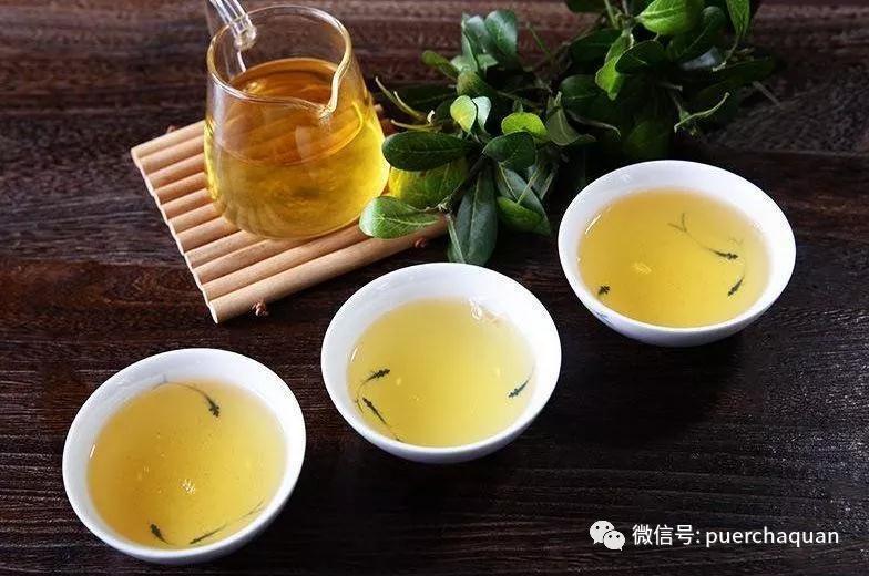 普洱春茶与秋茶,为何价差数倍?